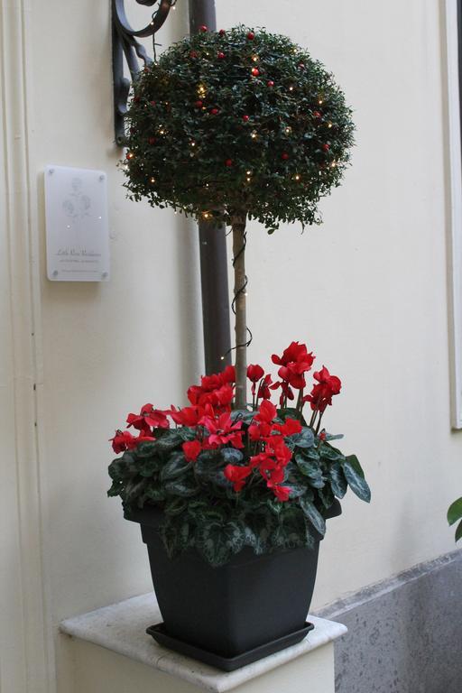 Gasthof Little Rose 2*